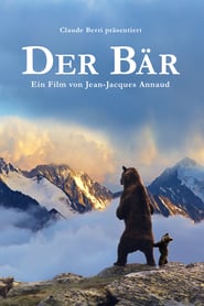 The Bear
